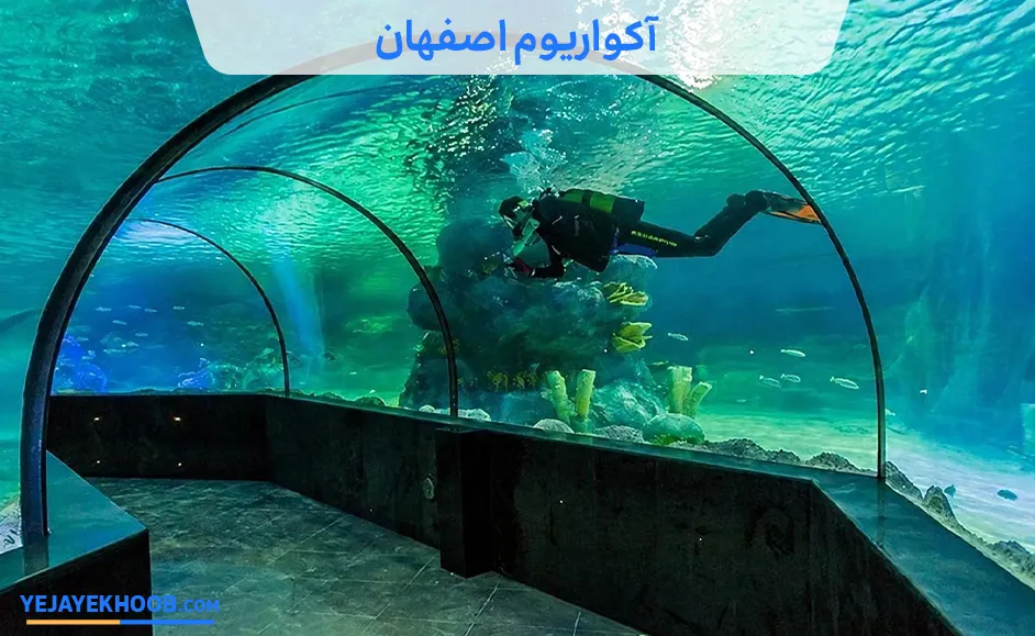 آکواریوم اصفهان