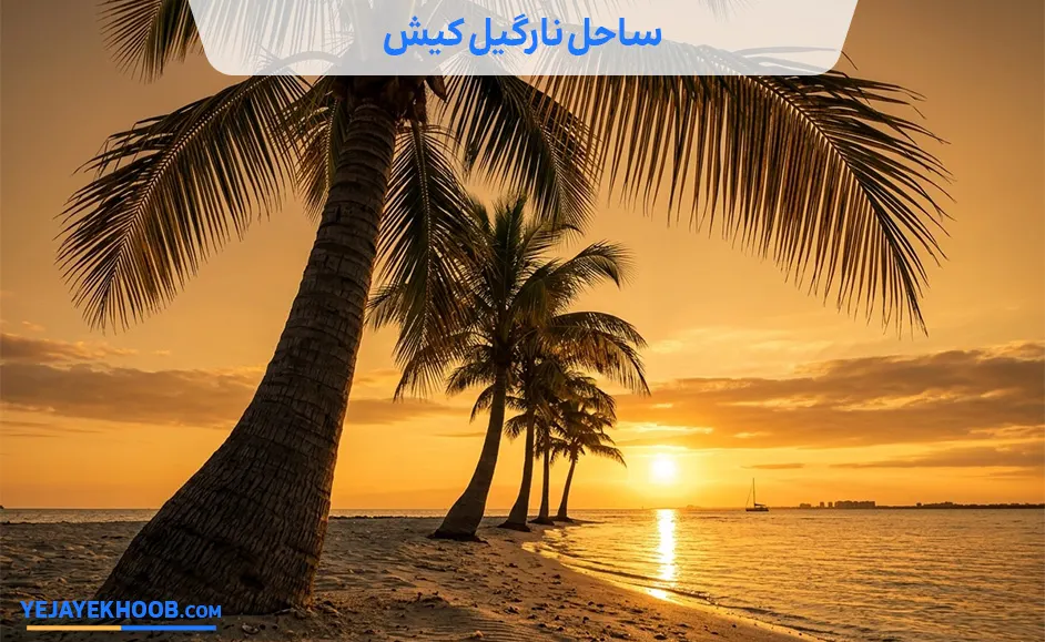 تصویر ساحل نارگیل کیشمی باشد 