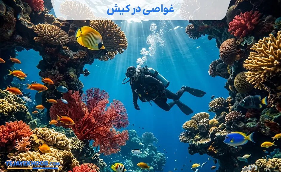 تصویر غواصی در کیشمی باشد 