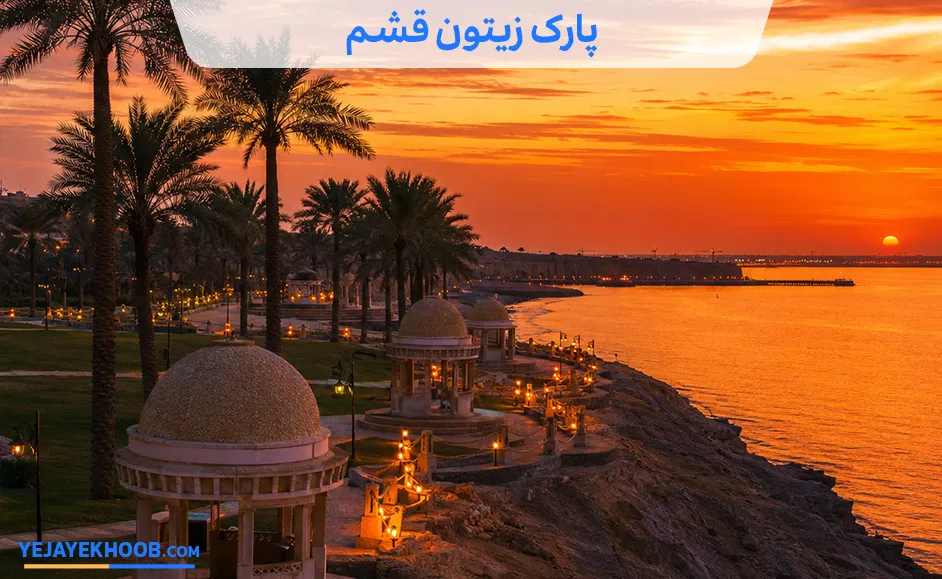 پارک زیتون قشم