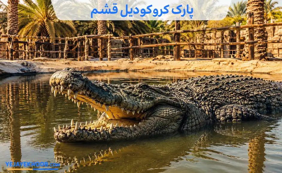 تصویر پارک کروکودیل قشممی باشد 