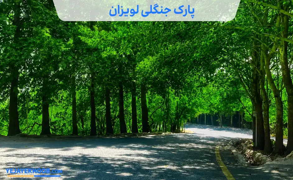 پارک جنگلی لویزان