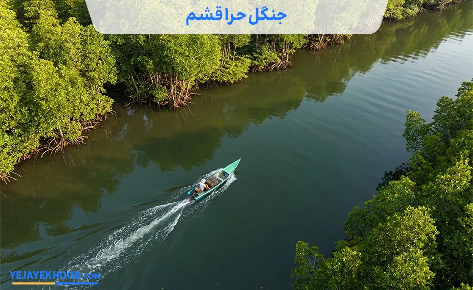 تصویر جنگل حرا قشممی باشد 
