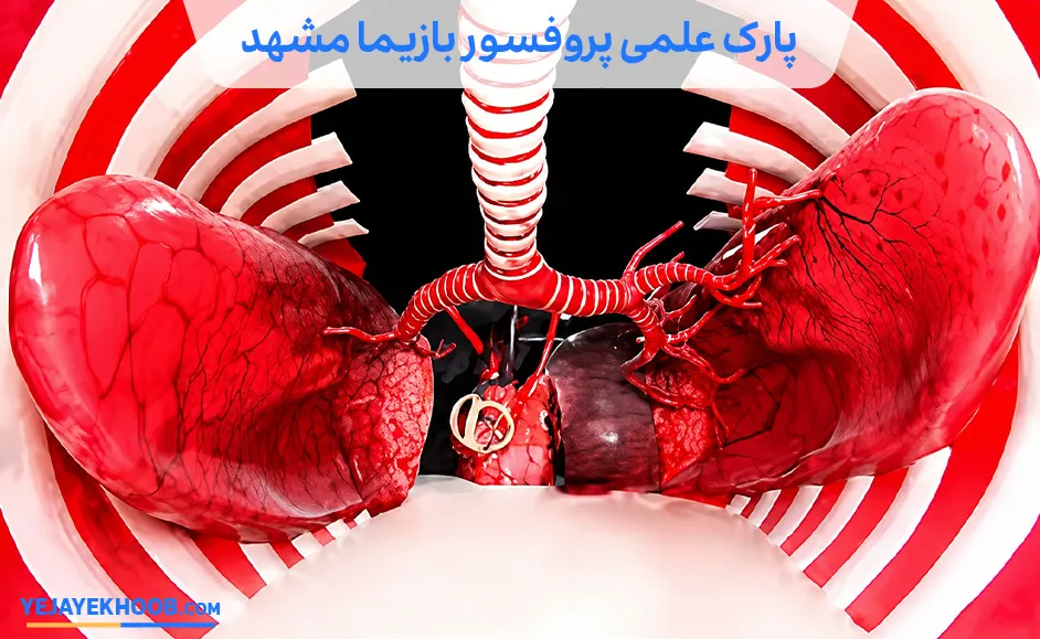 پارک علمی پروفسور بازیما مشهد