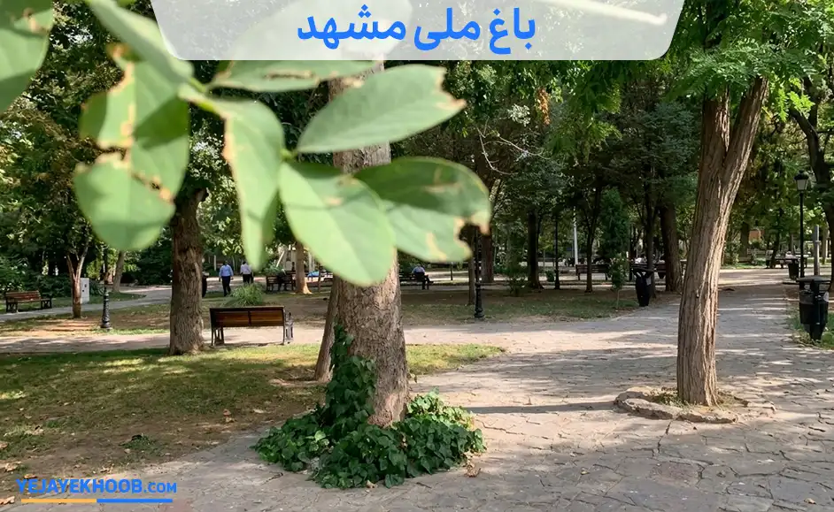 باغ ملی مشهد