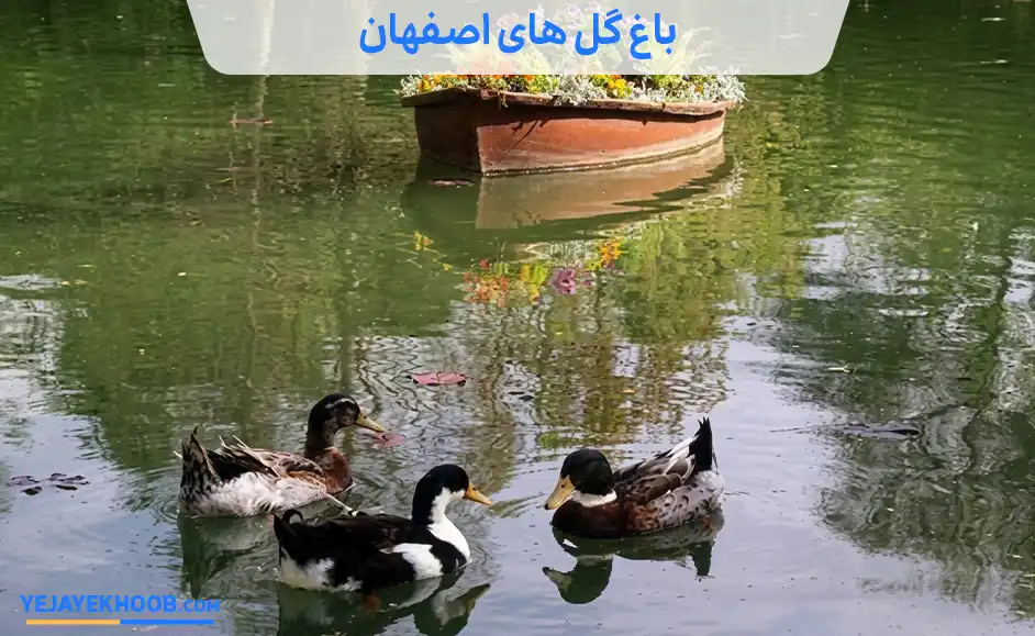 تصویر باغ گل های اصفهانمی باشد 