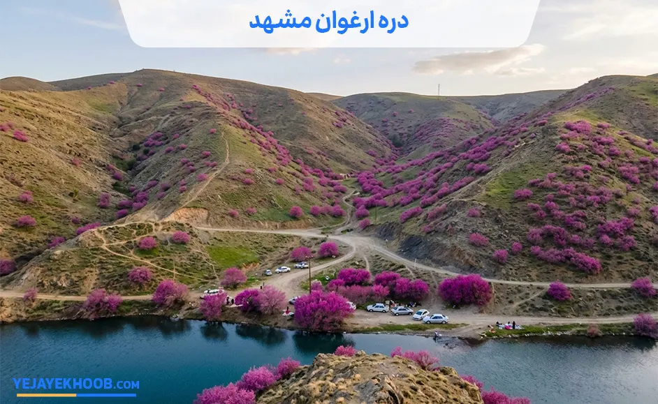 تصویر دره ارغوان مشهدمی باشد 