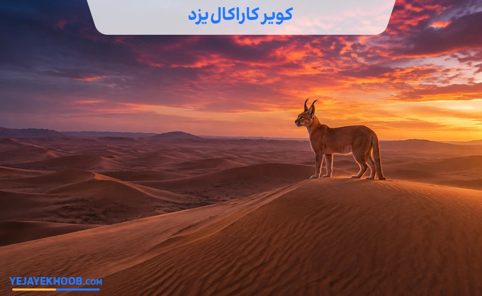تصویر کویر کاراکال یزد می باشد 