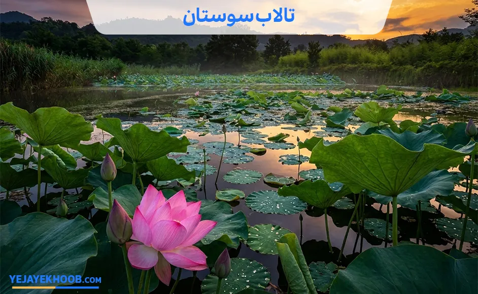 تالاب سوستان لاهیجان