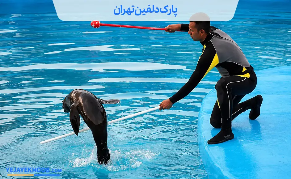 تصویر  پارک دلفین تهرانمی باشد 