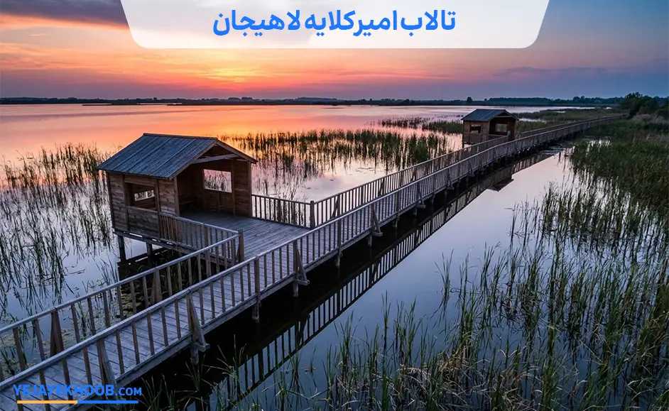 تالاب امیرکلایه لاهیجان