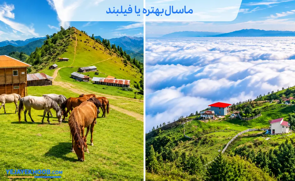 ماسال بهتره یا فیلبند