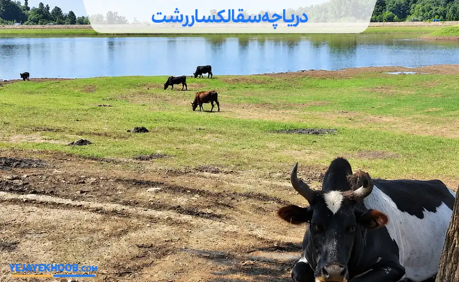 تصویر دریاچه سقالکسار رشتمی باشد 