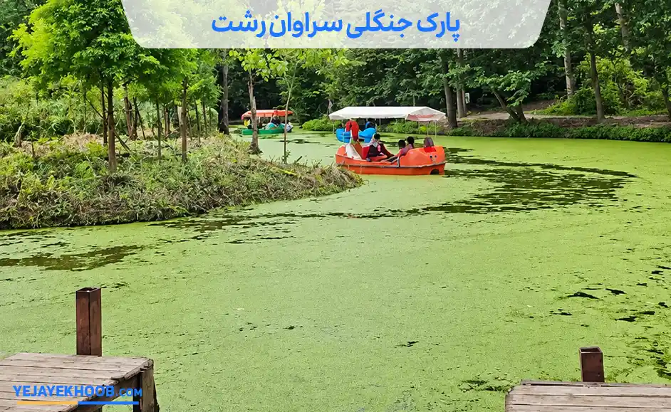 پارک جنگلی سراوان رشت
