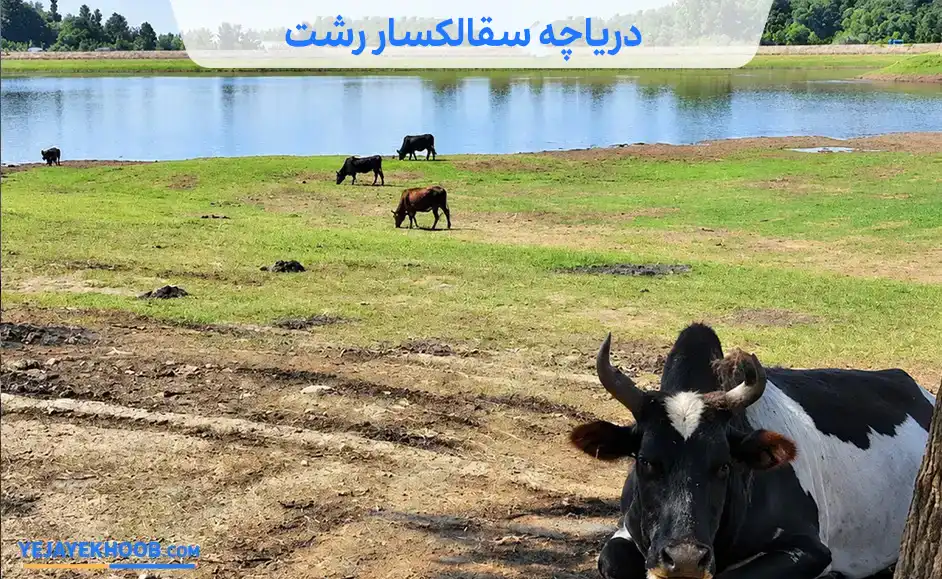 دریاچه سقالکسار رشت