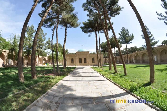 درخت های کاج در راه منتهی به آرامگاه اسرار