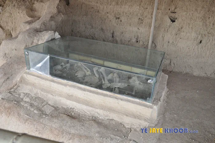 استخوان های اکتشاف شده در سیلک