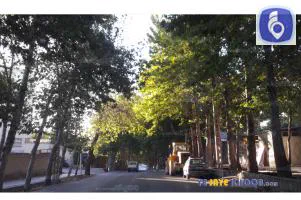 خیابان دررود