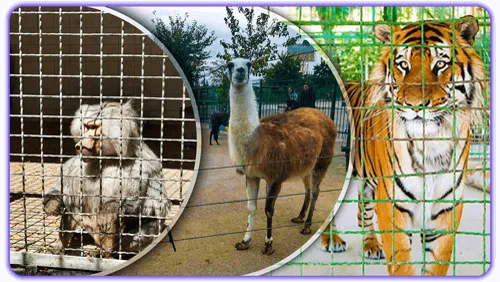 باغ وحش مشهد