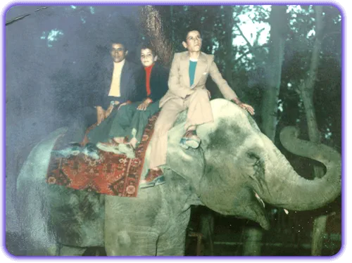 عکس قدیمی از باغ وحش مشهد