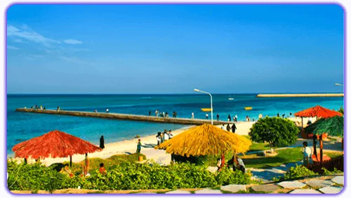 ساحل مرجان کیش