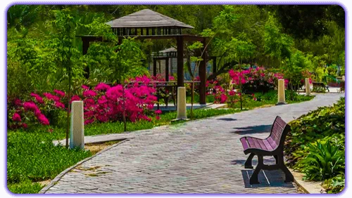 پارک هنگام کیش