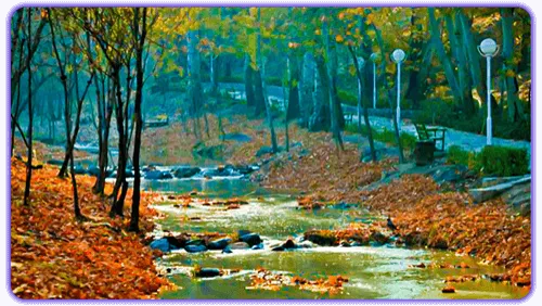 مشهد، پارک جنگلی وکیل آباد