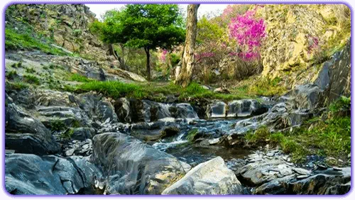 رودخانه پنج دره