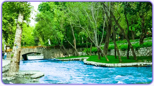 پارک جنگلی وکیل آباد