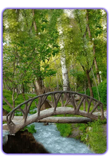 پارک وکیل آباد مشهد