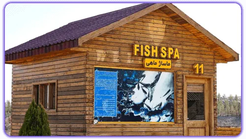 چالیدره مشهد؛ پاتوق آخر هفته مشهدیها 21 ماساژ ماهی در چالیدره