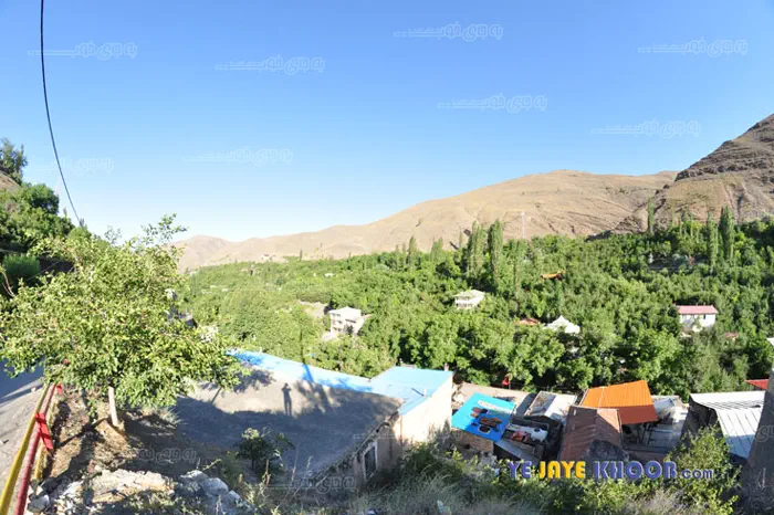 زشک _شاندیز