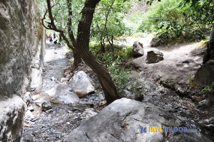 طبیعت زیبای قره سو