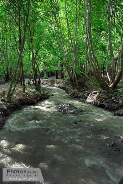 آبشار-ارتکند-مشهد-1.webpعکس مقاله