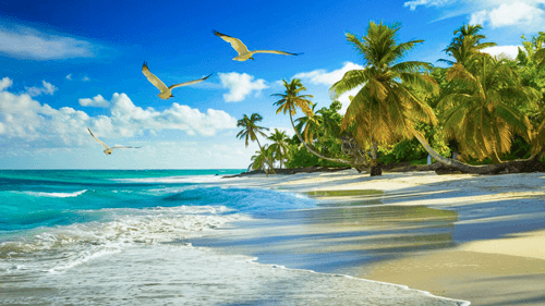 عکس مقالهراهنمای جامع همه چیز کیش