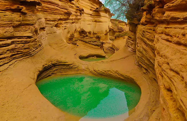 تصویر تور قشم