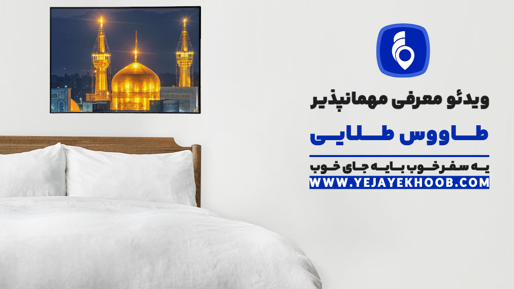 پخش ویدیو